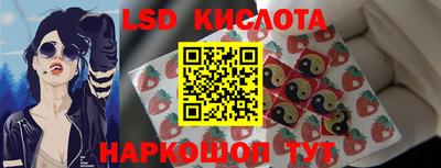 гашик Кунгур