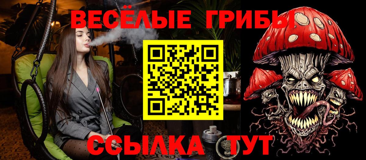 Псилоцибиновые грибы Magic Shrooms  Псилоцибиновые грибы Magic Shrooms  Горно-Алтайск  Вход с VPN 